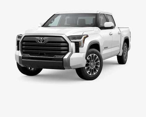 Tundra